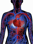 dabl Cardiovascular Report